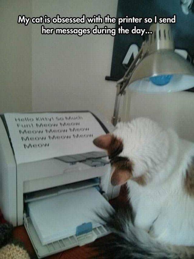 Daily Picdump