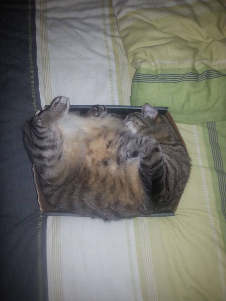 Morning Picdump