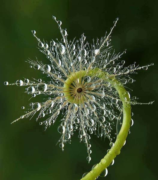 morning picdump 51 pics 21.html - 51 HD Photos | Premium Gallery 2016