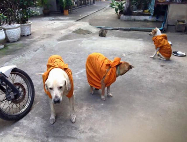 morning picdump 51 pics 21.html - 51 HD Photos | Premium Gallery 2016