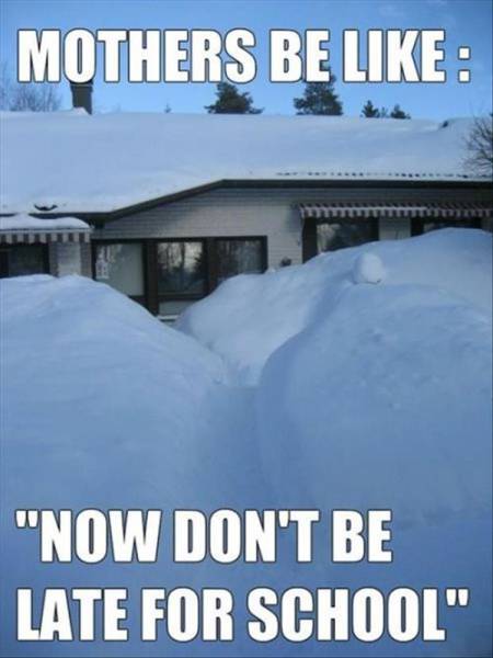 Funny Picdump