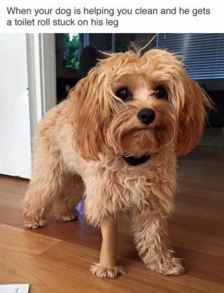 daily picdump 93 pics 35.html - 93 HD Photos | Premium Gallery 2016