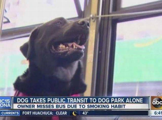 daily picdump 93 pics 35.html - 93 HD Photos | Premium Gallery 2016