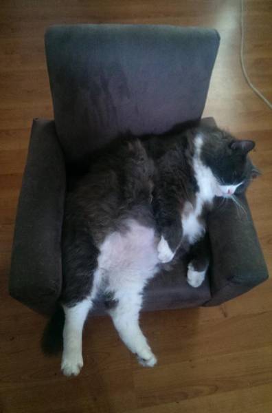 morning picdump 54 pics 24.html - 54 HD Photos | Premium Gallery 2016