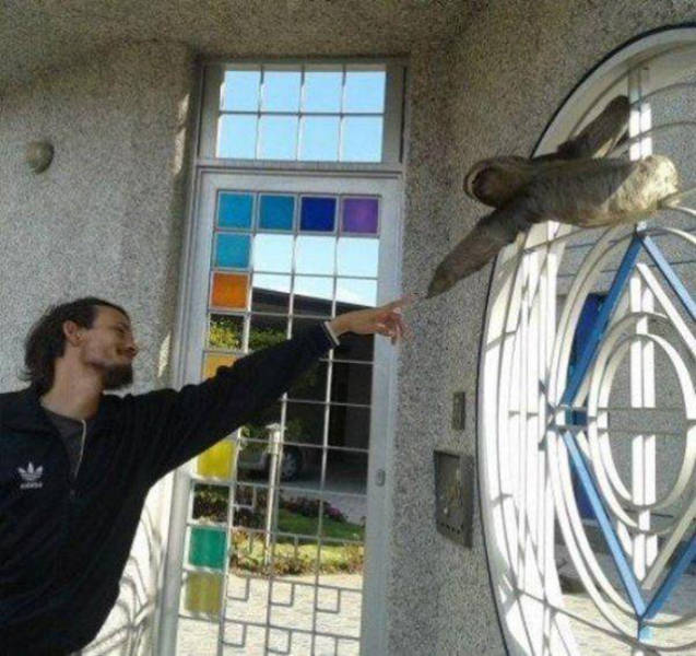 morning picdump 54 pics 24.html - 54 HD Photos | Premium Gallery 2016