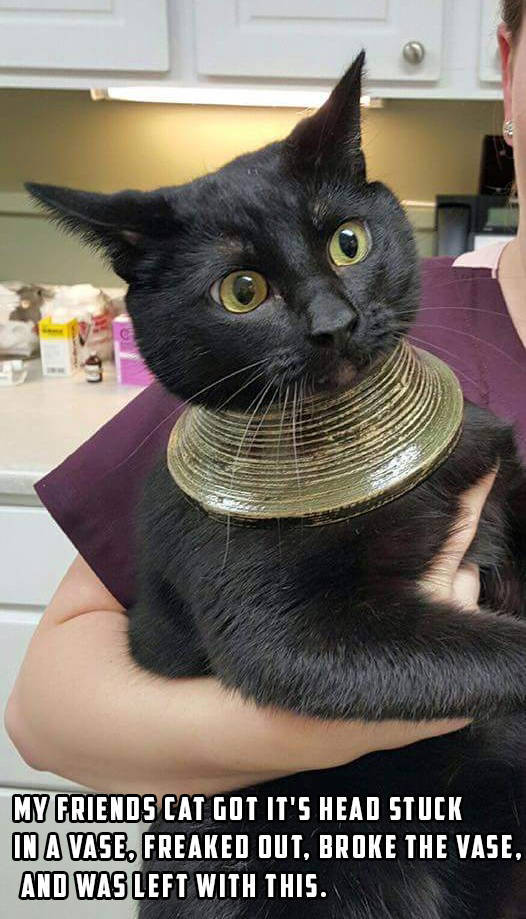 morning picdump 54 pics 24.html - 54 HD Photos | Premium Gallery 2016