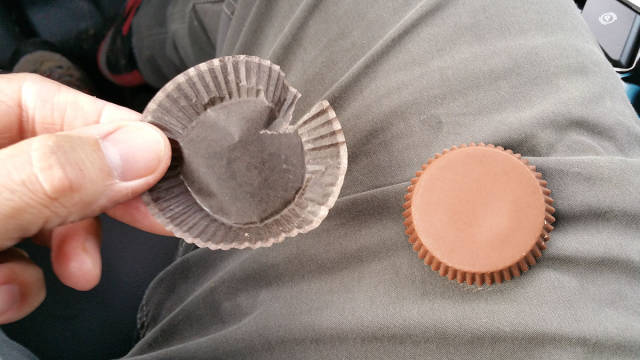 morning picdump 52 pics 17.html - 52 HD Photos | Premium Gallery 2016