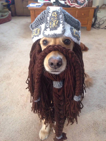 morning picdump 51 pics 20.html - 51 HD Photos | Premium Gallery 2016