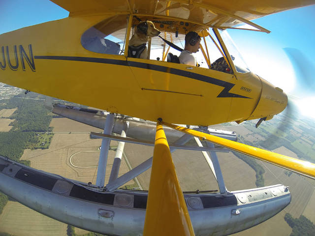 morning picdump 51 pics 20.html - 51 HD Photos | Premium Gallery 2016