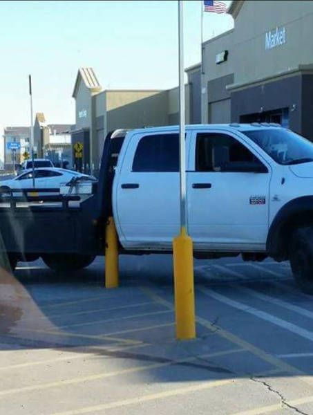 morning picdump 50 pics 15.html - 50 HD Photos | Premium Gallery 2016