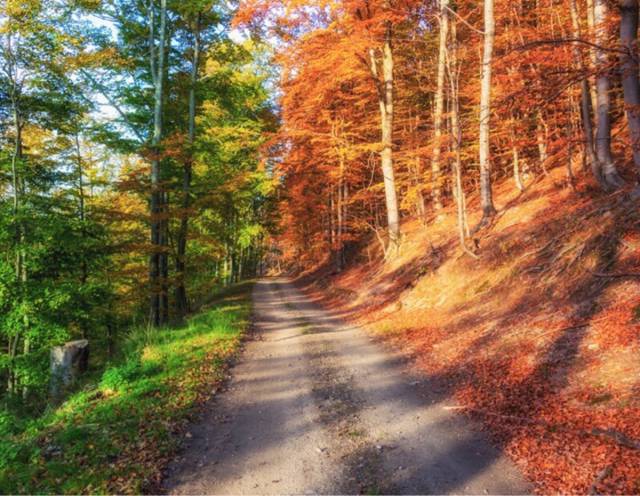 morning picdump 50 pics 15.html - 50 HD Photos | Premium Gallery 2016