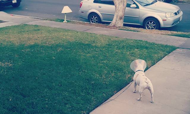 morning picdump 50 pics 15.html - 50 HD Photos | Premium Gallery 2016