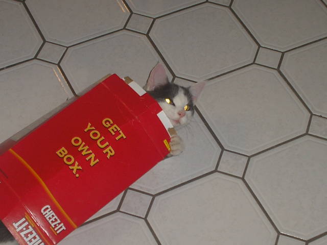 morning picdump 52 pics 3.html - 52 HD Photos | Premium Gallery 2016