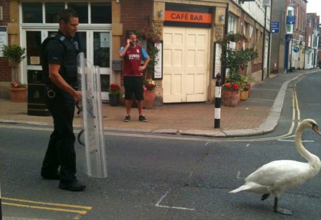 morning picdump 52 pics 3.html - 52 HD Photos | Premium Gallery 2016