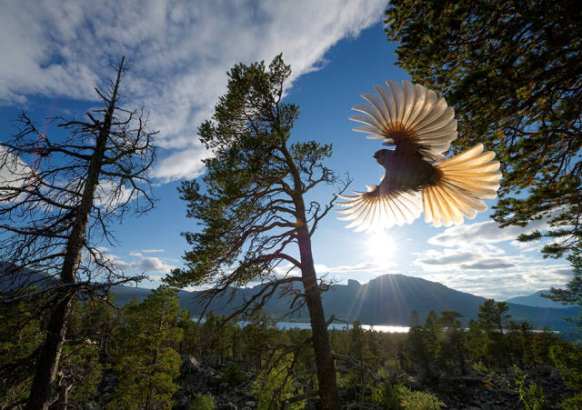 morning picdump 52 pics 3.html - 52 HD Photos | Premium Gallery 2016