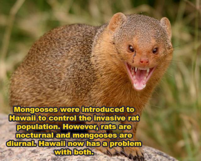 These Random But Astounding Facts Will Feed Your Brain