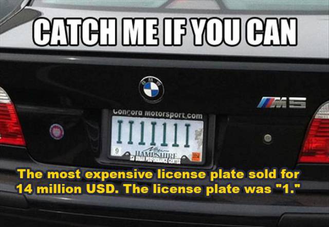 These Random But Astounding Facts Will Feed Your Brain