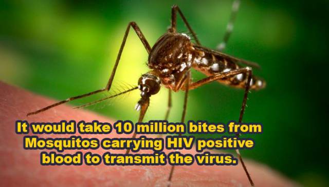 These Random But Astounding Facts Will Feed Your Brain