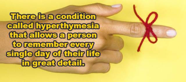 These Random But Astounding Facts Will Feed Your Brain