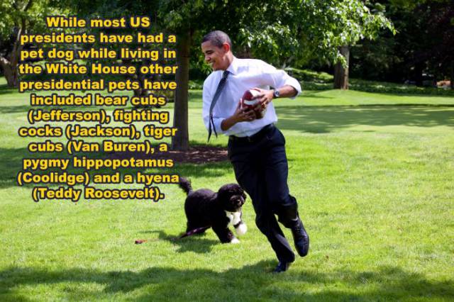 These Random But Astounding Facts Will Feed Your Brain