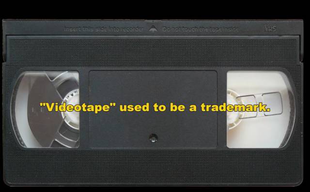 These Random But Astounding Facts Will Feed Your Brain