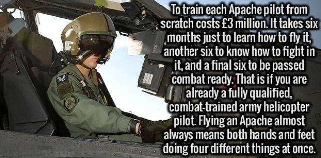 These Random But Astounding Facts Will Feed Your Brain