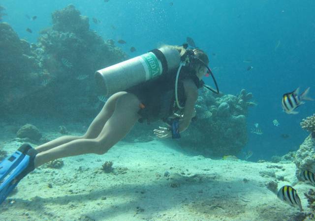 grownup corner 68 pics 14 gifs 27.html - 68 HD GIF | Premium Gallery 2016