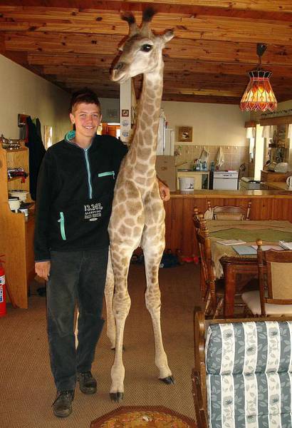 morning picdump 50 pics 2.html - 50 HD Photos | Premium Gallery 2016