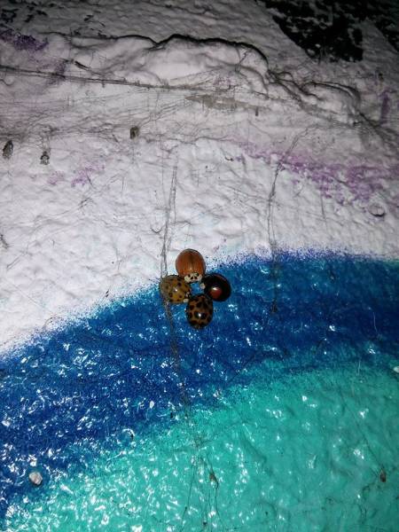 morning picdump 52 pics 15.html - 52 HD Photos | Premium Gallery 2016