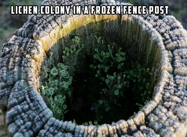 morning picdump 52 pics 15.html - 52 HD Photos | Premium Gallery 2016