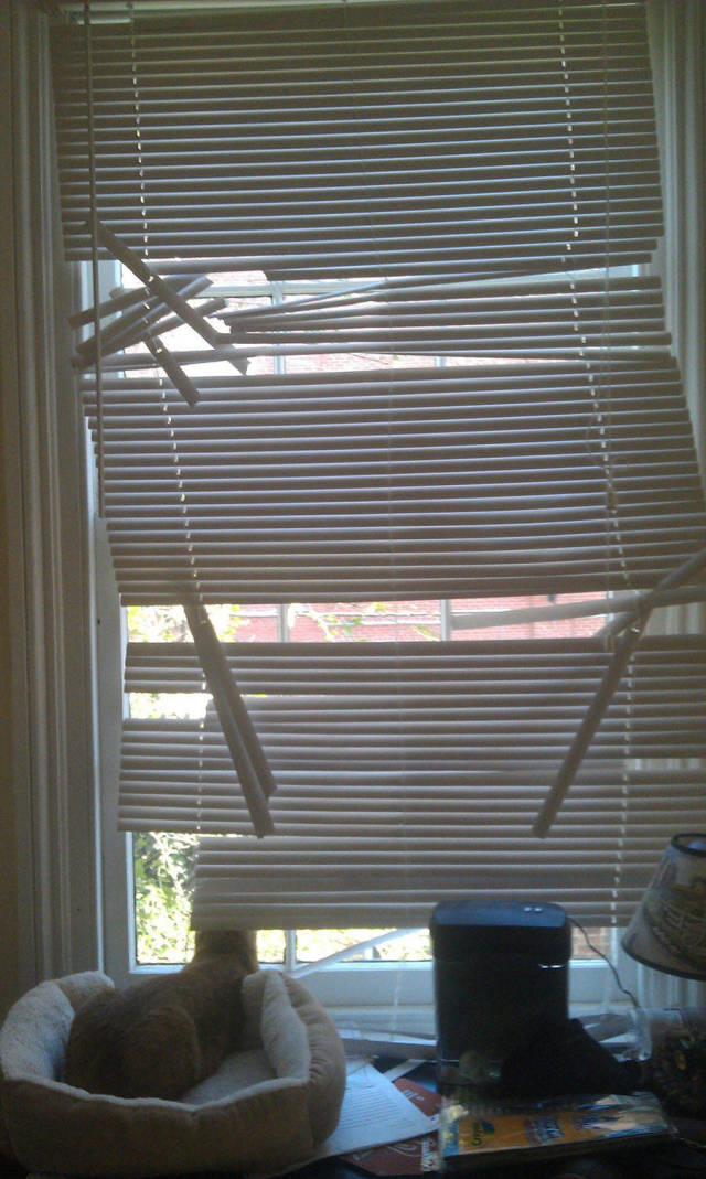 morning picdump 52 pics 15.html - 52 HD Photos | Premium Gallery 2016