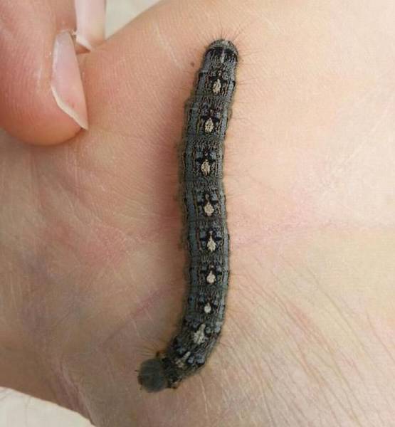 daily picdump 103 pics 40.html - 103 HD Photos | Premium Gallery 2016