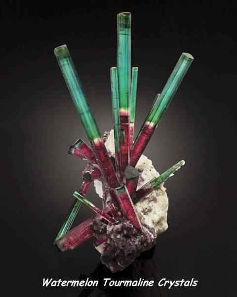 daily picdump 103 pics 40.html - 103 HD Photos | Premium Gallery 2016