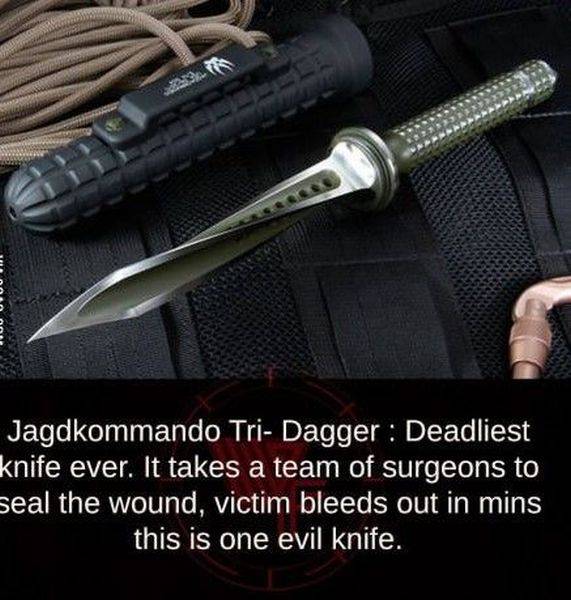 daily picdump 103 pics 40.html - 103 HD Photos | Premium Gallery 2016