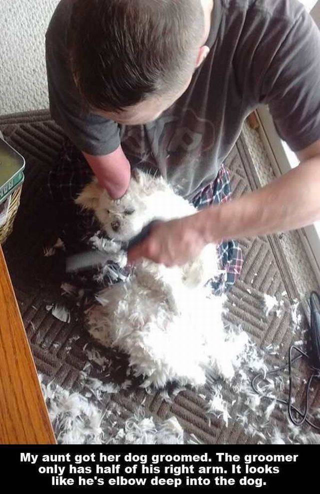 daily picdump 103 pics 40.html - 103 HD Photos | Premium Gallery 2016