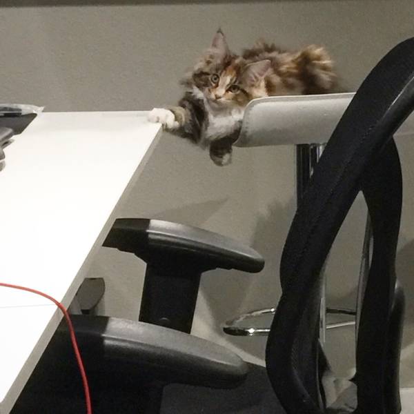 morning picdump 52 pics 4.html - 52 HD Photos | Premium Gallery 2016