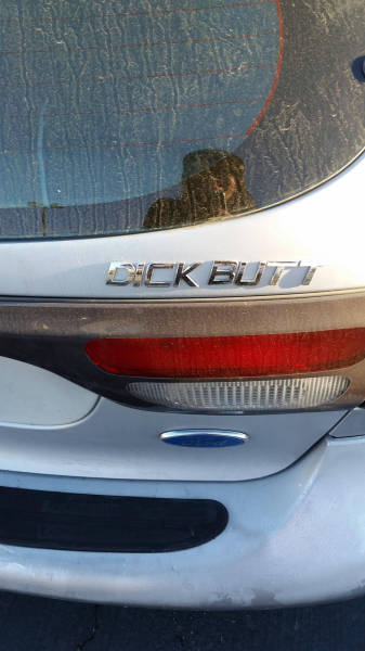 morning picdump 52 pics 4.html - 52 HD Photos | Premium Gallery 2016