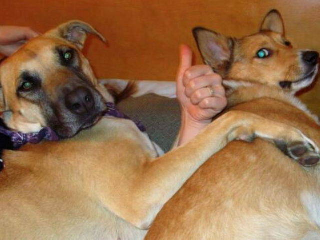 morning picdump 52 pics 4.html - 52 HD Photos | Premium Gallery 2016