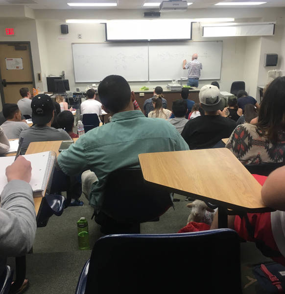 morning picdump 50 pics 5.html - 50 HD Photos | Premium Gallery 2016