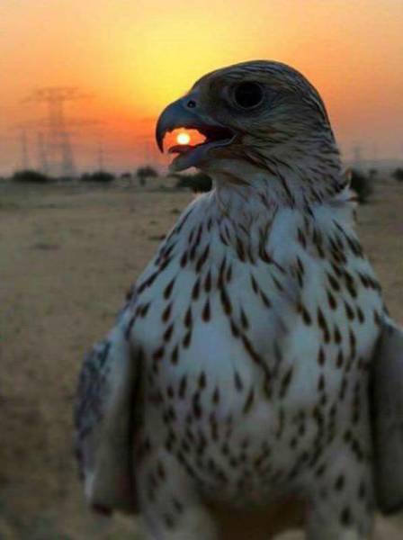 morning picdump 54 pics 1.html - 54 HD Photos | Premium Gallery 2016