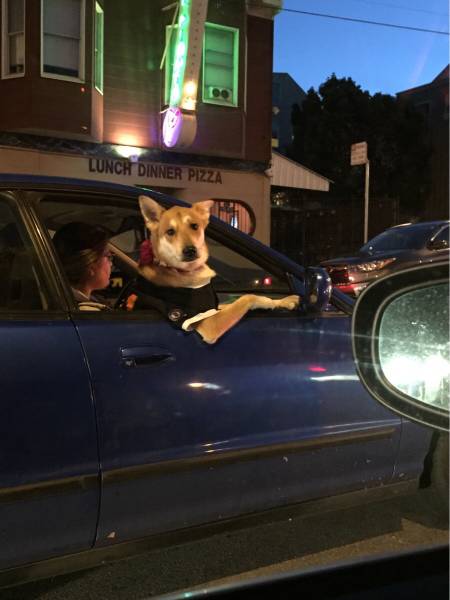 morning picdump 54 pics 1.html - 54 HD Photos | Premium Gallery 2016