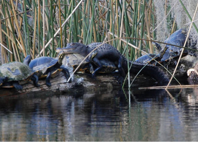 morning picdump 54 pics 1.html - 54 HD Photos | Premium Gallery 2016