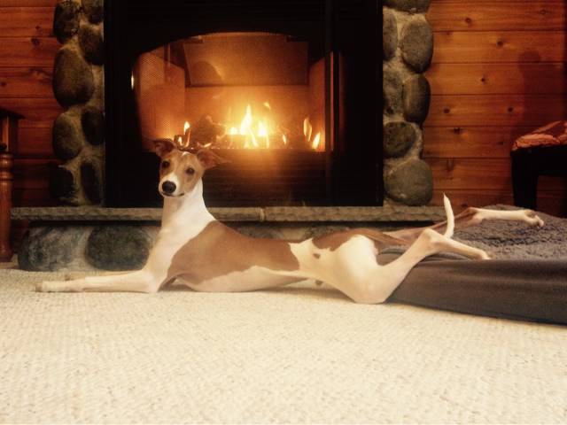 morning picdump 54 pics 1.html - 54 HD Photos | Premium Gallery 2016