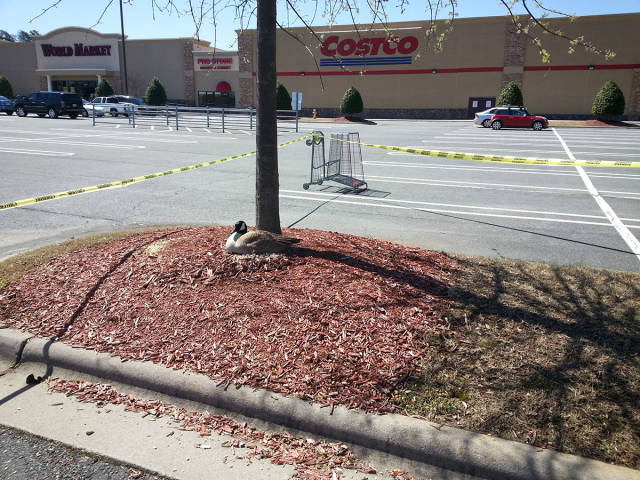 morning picdump 54 pics 1.html - 54 HD Photos | Premium Gallery 2016