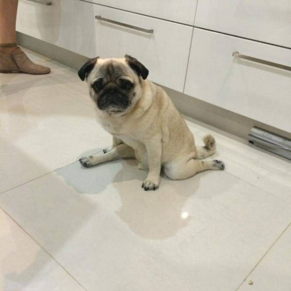 morning picdump 54 pics 12.html - 54 HD Photos | Premium Gallery 2016