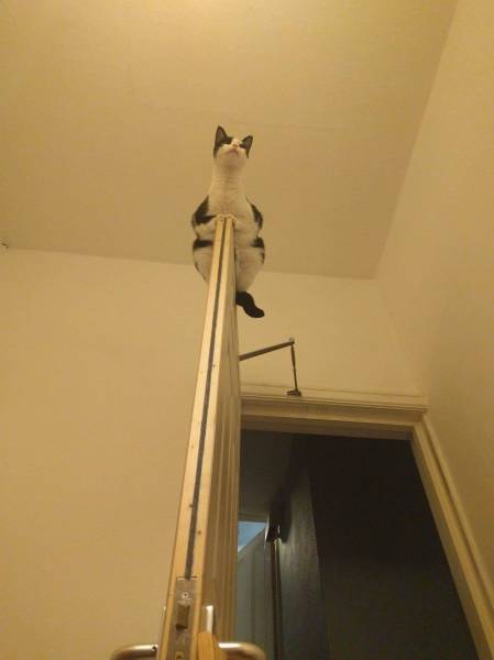 morning picdump 53 pics 14.html - 53 HD Photos | Premium Gallery 2016