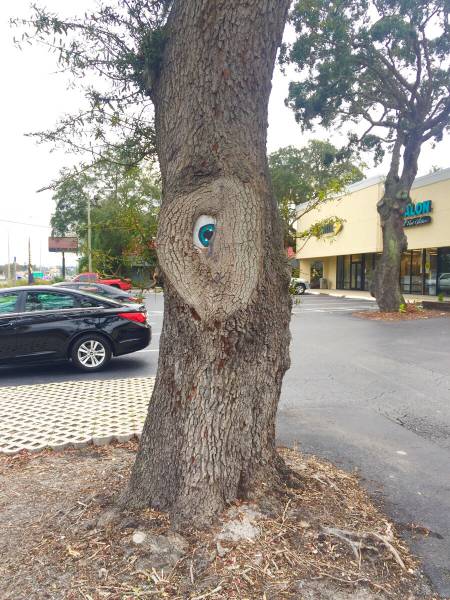 morning picdump 53 pics 14.html - 53 HD Photos | Premium Gallery 2016