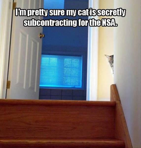 funny picdump 52 pics 12.html - 52 HD Photos | Premium Gallery 2016