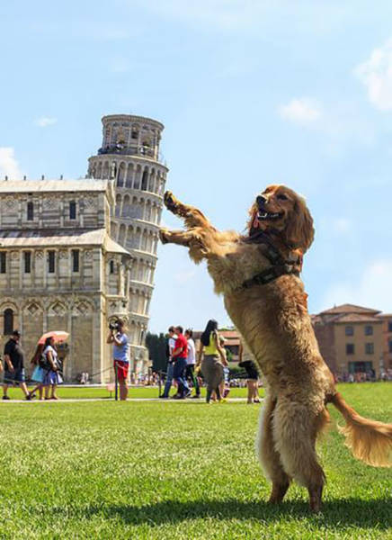 morning picdump 55 pics 8.html - 55 HD Photos | Premium Gallery 2016