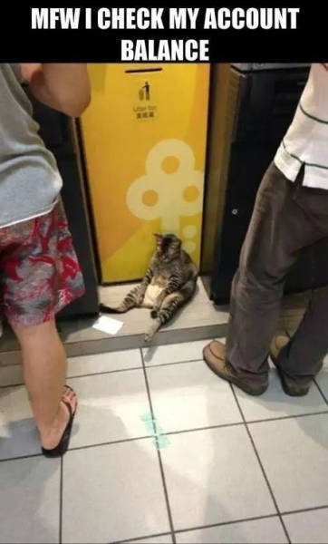 funny picdump 54 pics 3.html - 54 HD Photos | Premium Gallery 2016